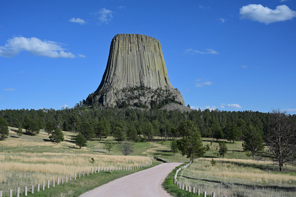 Wyoming — AED and CPR state law overview